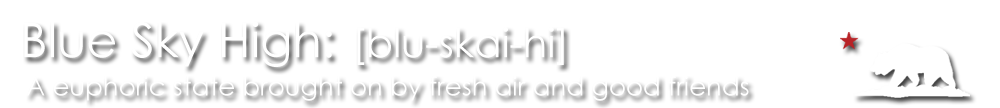 Blue Sky High